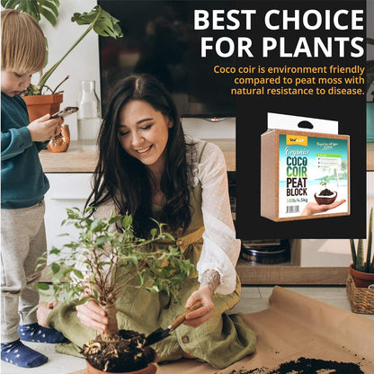 Coco Coir Brick for Plants, 1-Pack 100% Organic Potting Soil for Indoor and Outdoor Plants Seed Starter Coconut Mix Soil with High Expansion for Herbs & Flowers