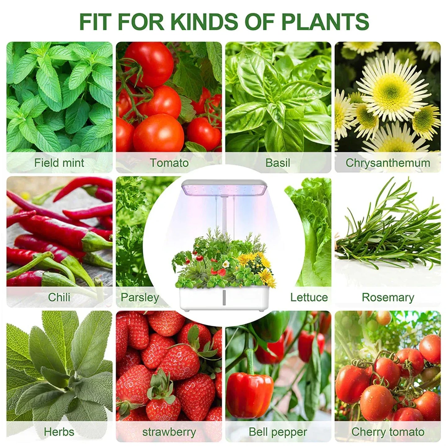 Hydroponics Growing System 