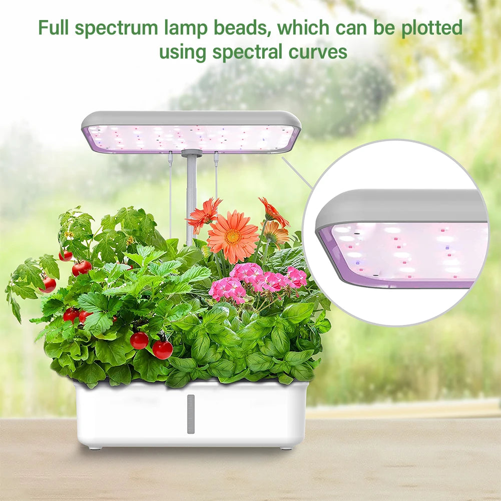 Hydroponics Growing System 