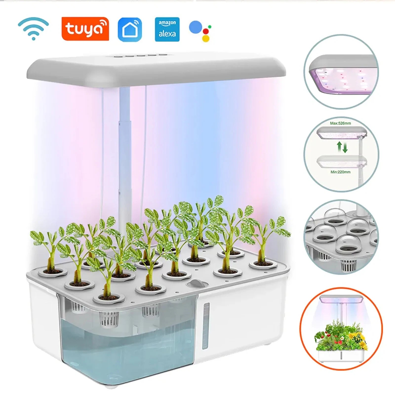 Hydroponics Growing System 