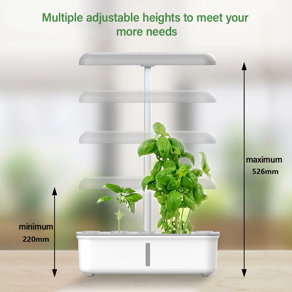 Hydroponics Growing System 